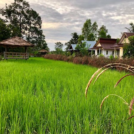 Baan Thung Home Stay Prasat Eksteriør billede