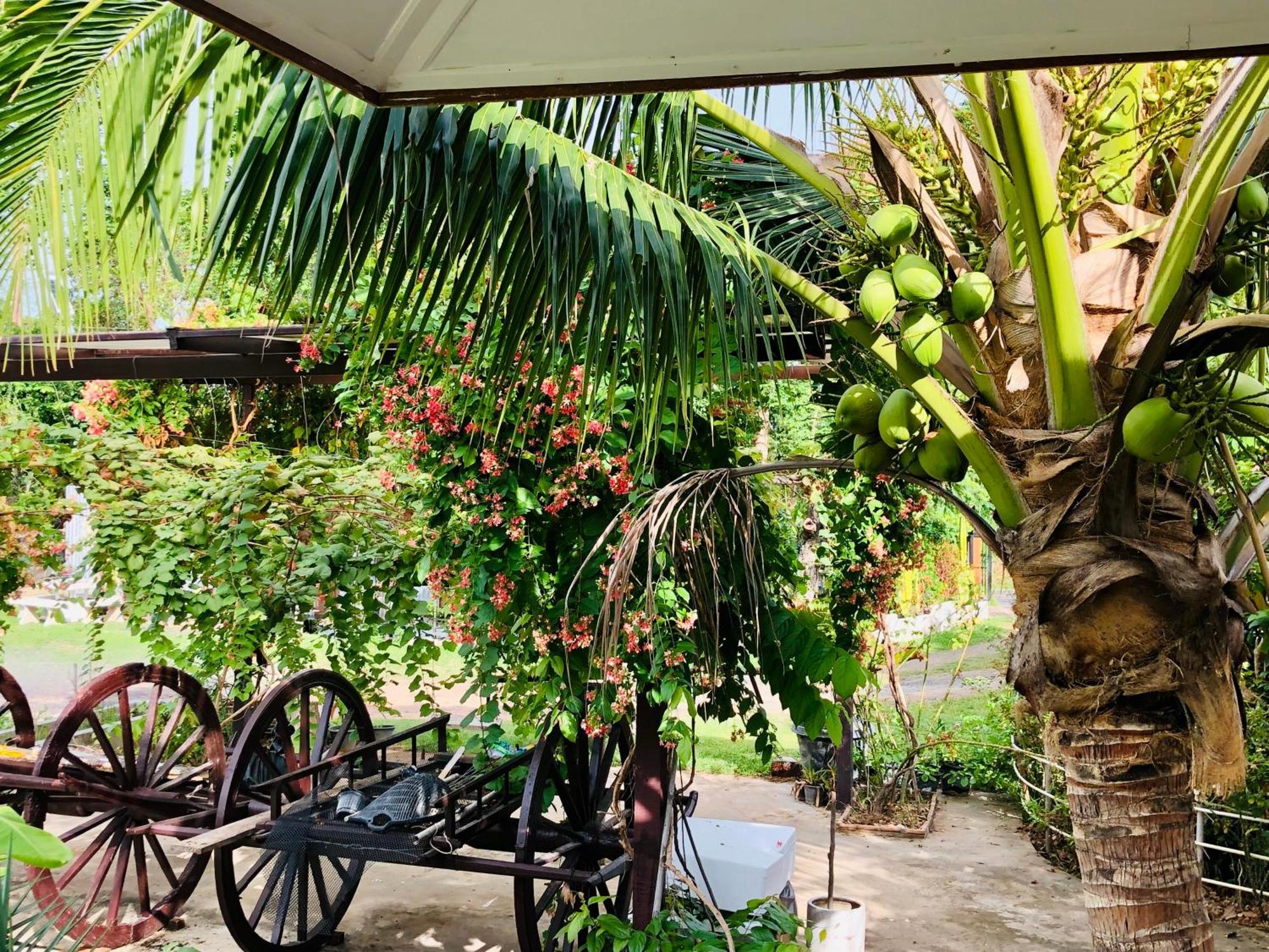 Baan Thung Home Stay Prasat Eksteriør billede