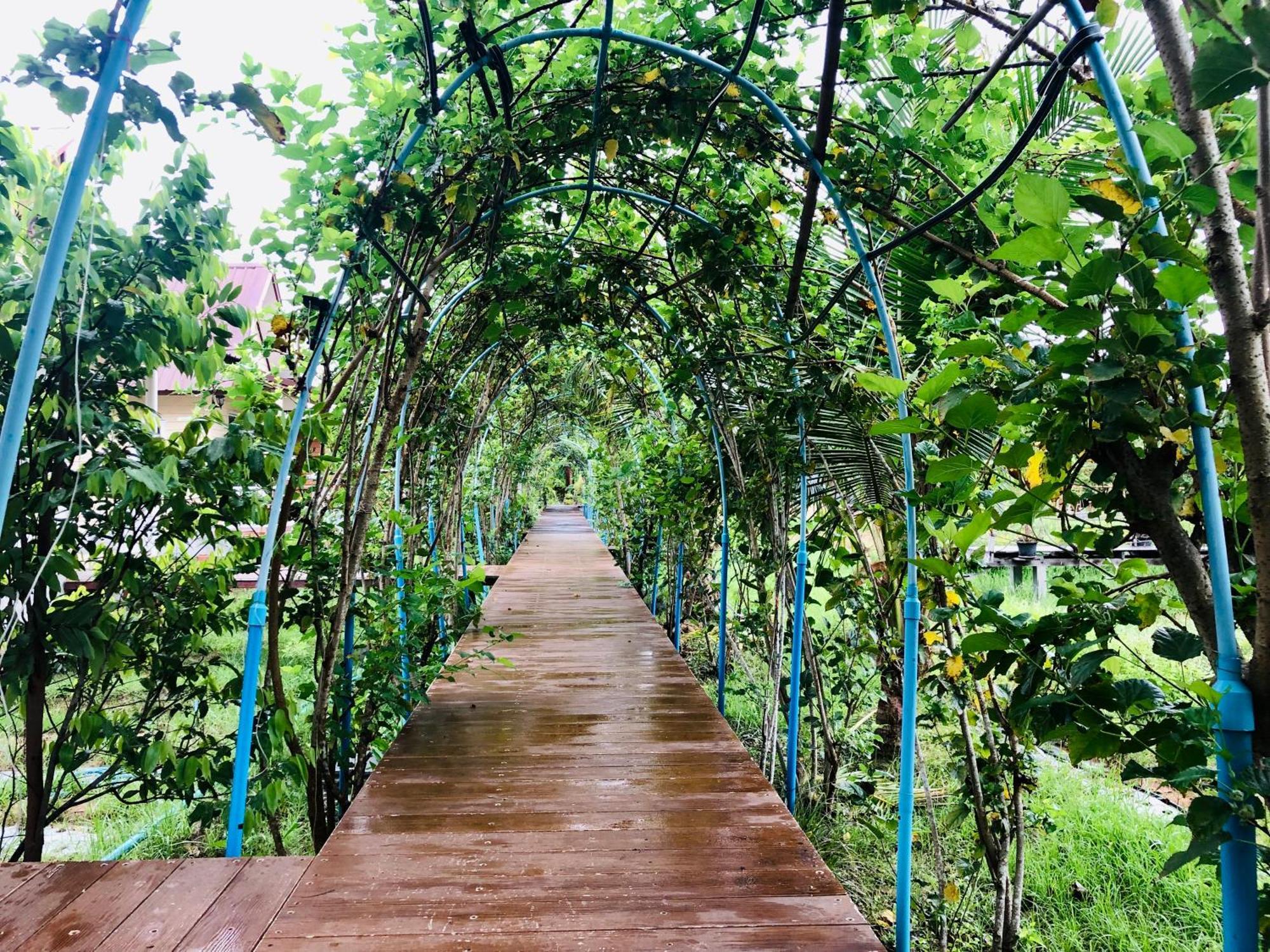 Baan Thung Home Stay Prasat Eksteriør billede