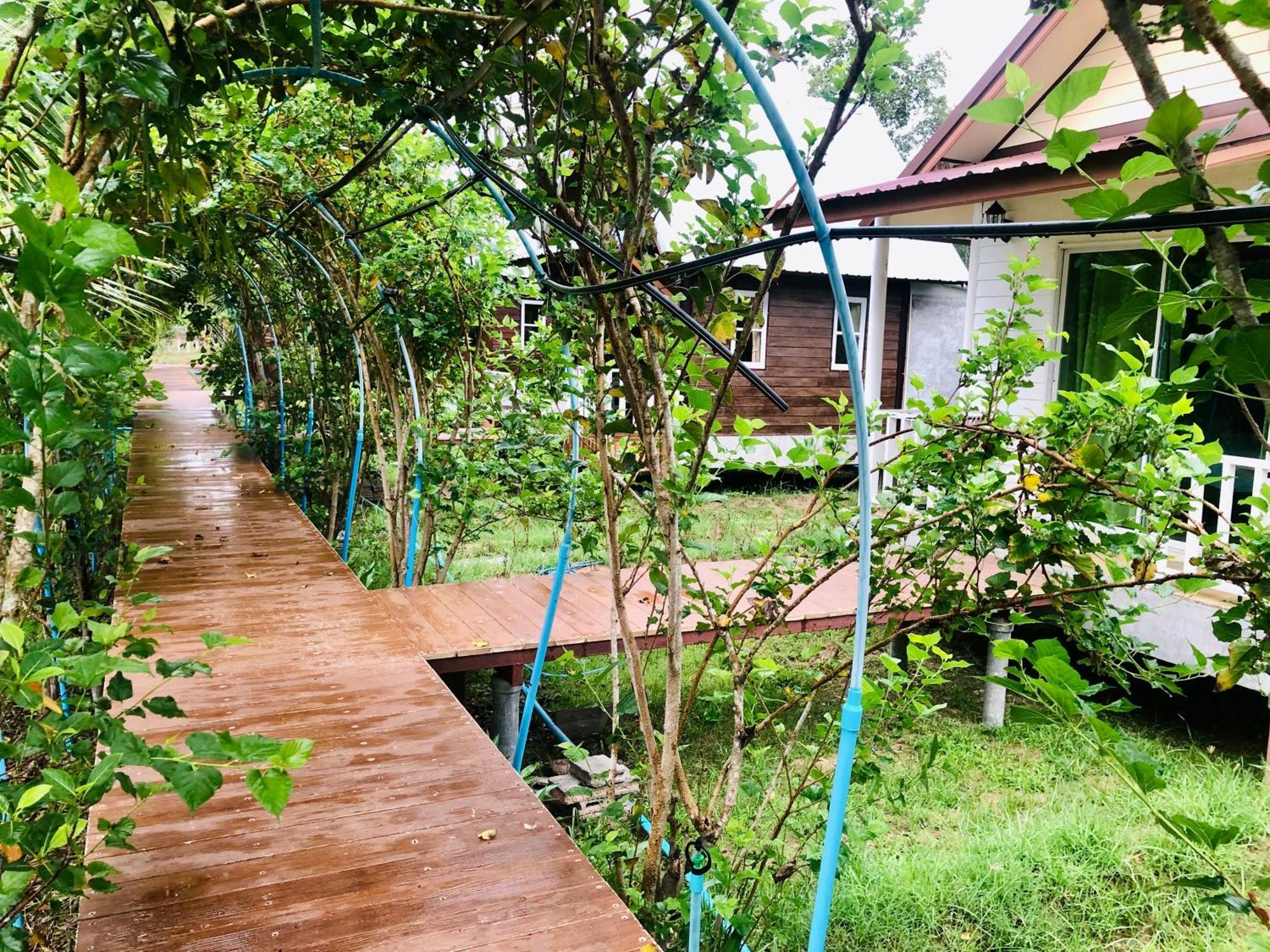 Baan Thung Home Stay Prasat Eksteriør billede