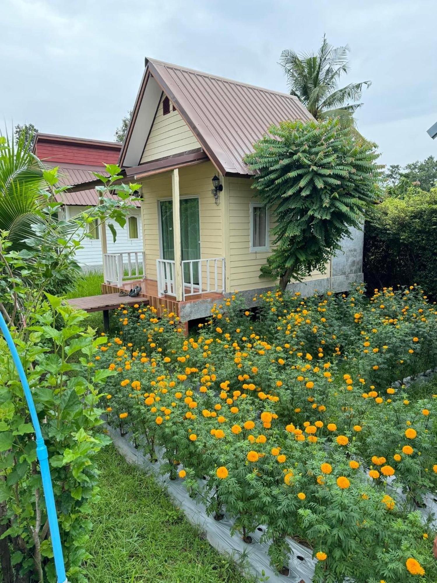 Baan Thung Home Stay Prasat Eksteriør billede