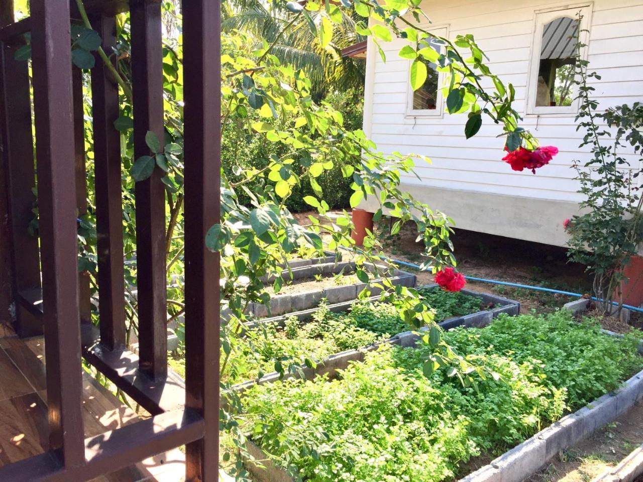 Baan Thung Home Stay Prasat Eksteriør billede