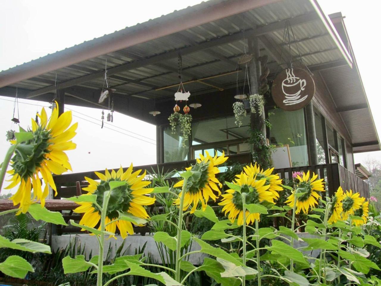 Baan Thung Home Stay Prasat Eksteriør billede