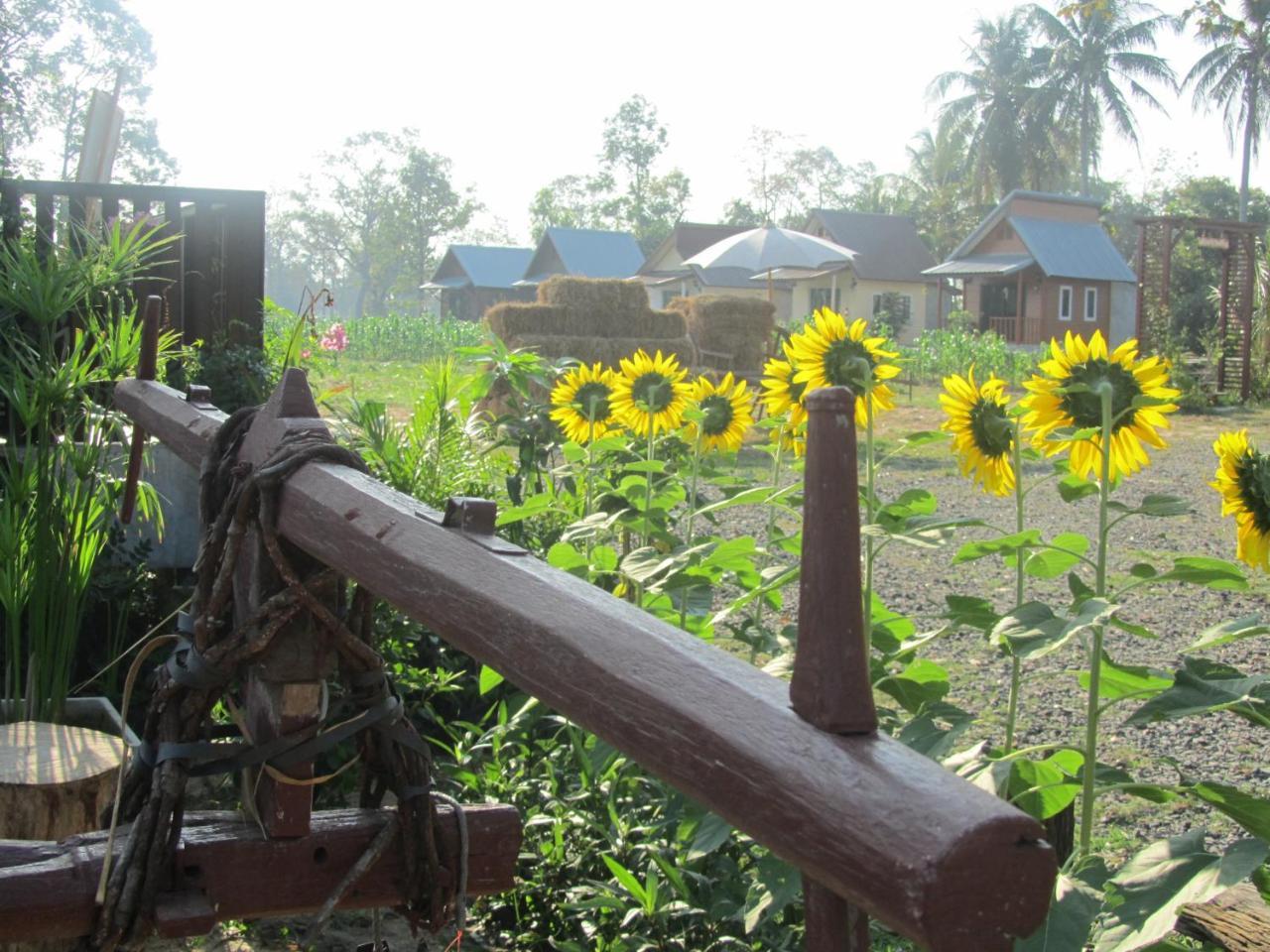 Baan Thung Home Stay Prasat Eksteriør billede