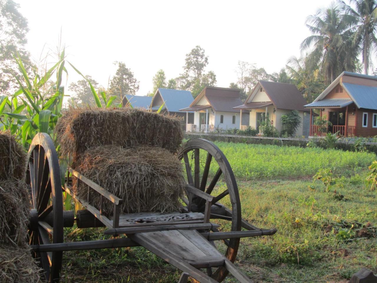 Baan Thung Home Stay Prasat Eksteriør billede