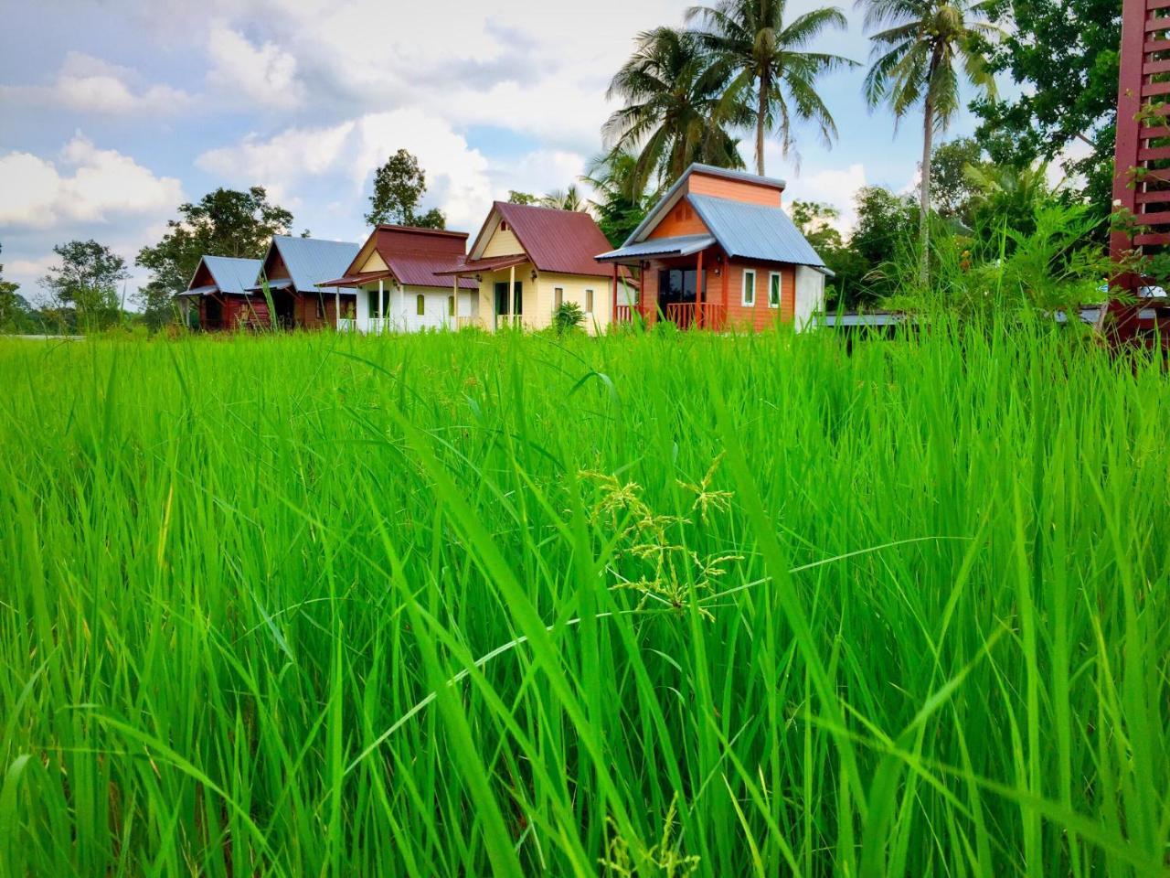 Baan Thung Home Stay Prasat Eksteriør billede