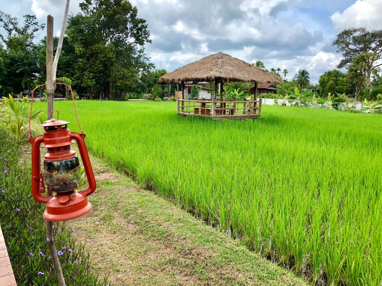 Baan Thung Home Stay Prasat Eksteriør billede