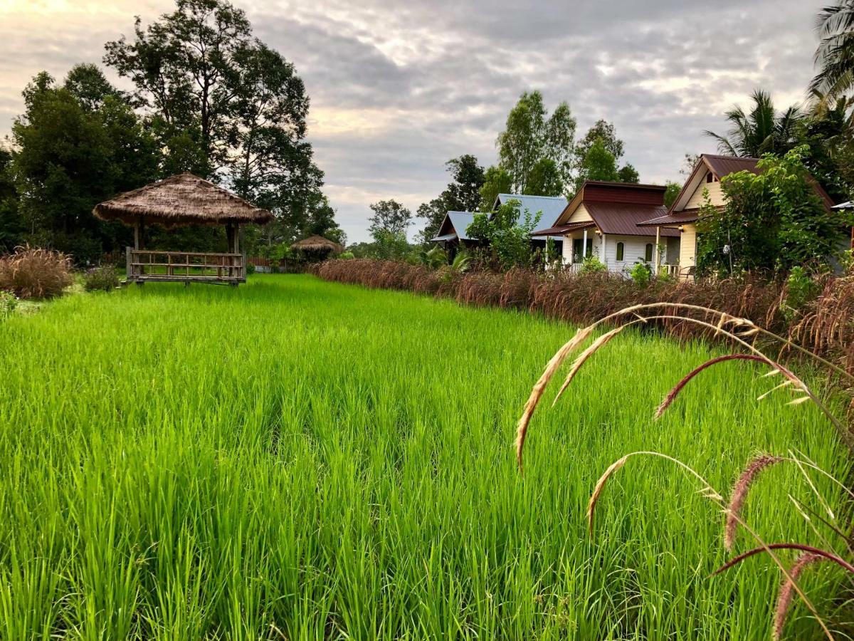Baan Thung Home Stay Prasat Eksteriør billede