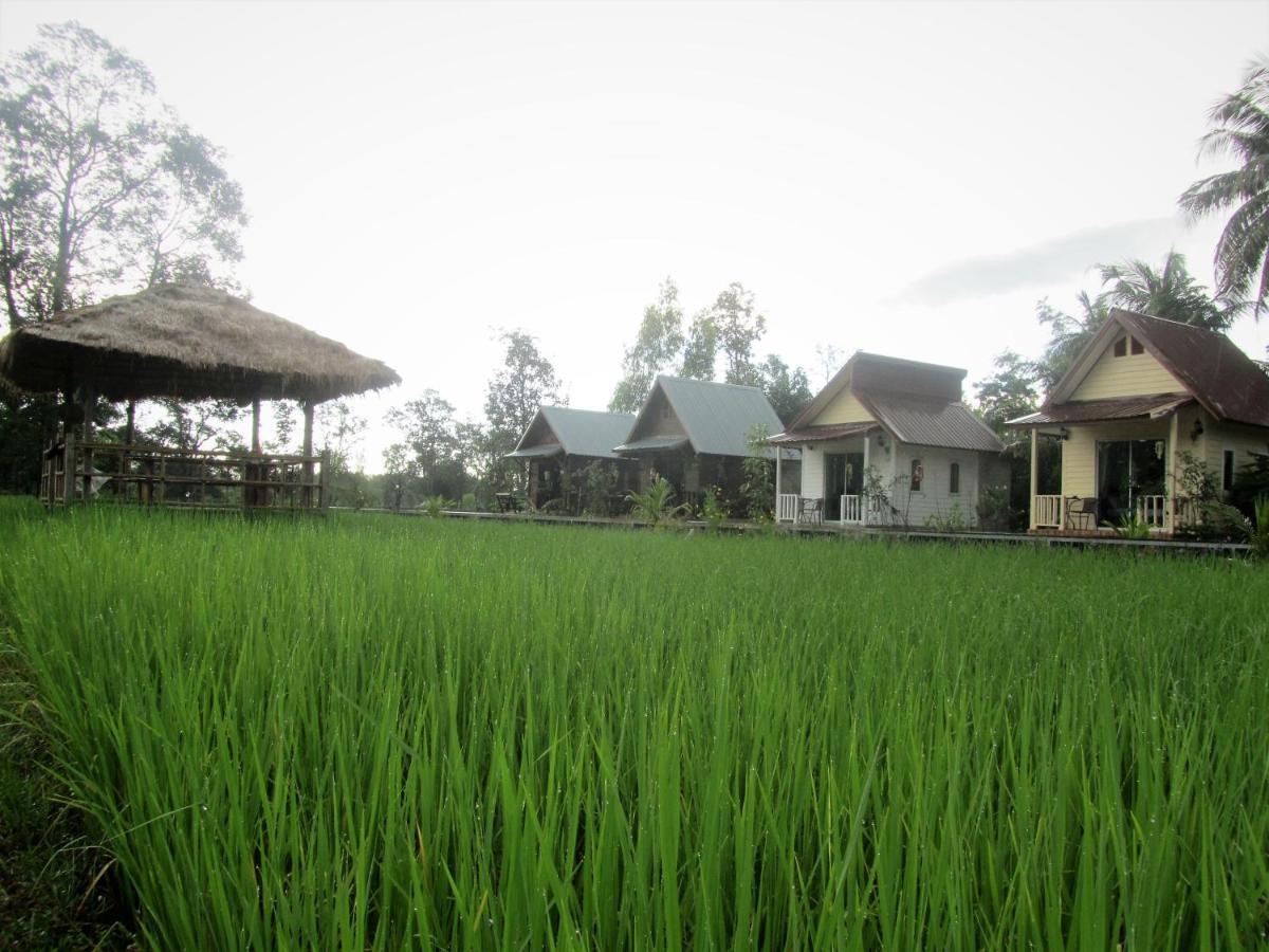 Baan Thung Home Stay Prasat Eksteriør billede